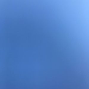 Meet your Posher, Mia